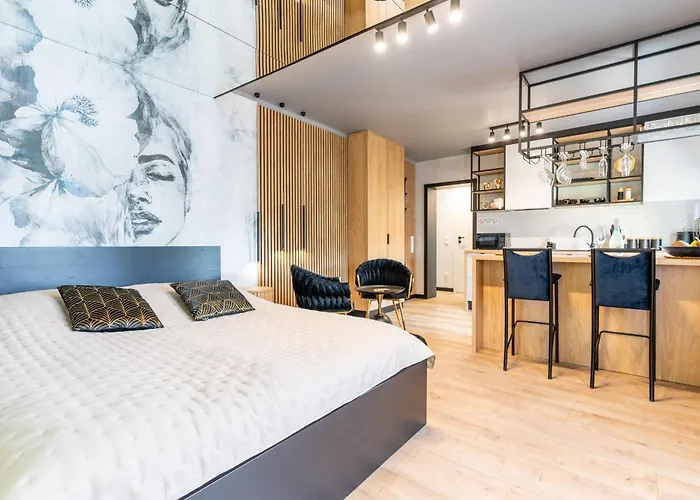 Premium Stare Apartament Olsztyn (Warmian-Masurian)